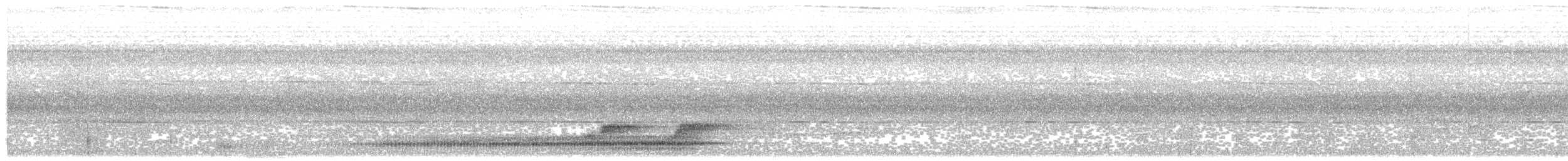 Белокрылая сорока (aterrimus) - ML592052701