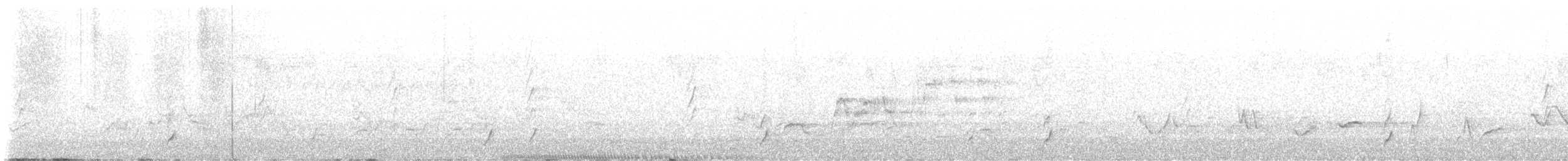 Дрізд-короткодзьоб Cвенсона - ML592053911