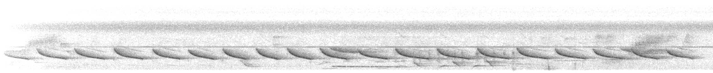 Короткохвостый шелкопёр - ML592054761