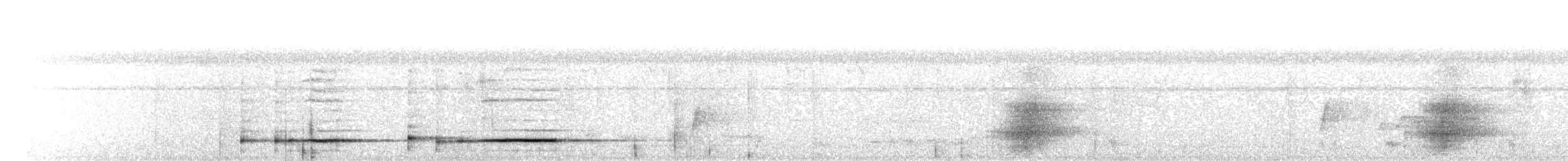 svartskrike (aterrimus) - ML592054951