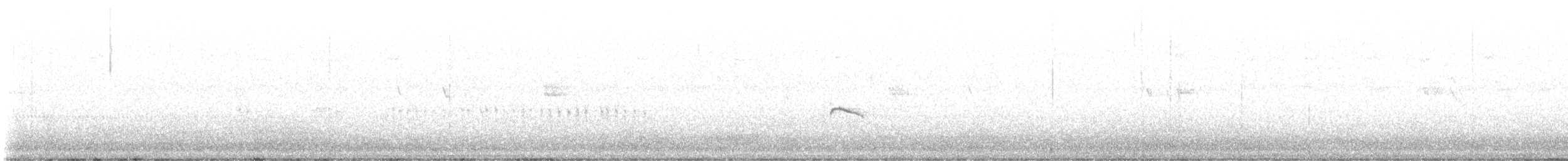 斑文鳥 - ML592088811
