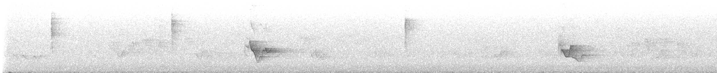 Viréo à tête bleue - ML592091411