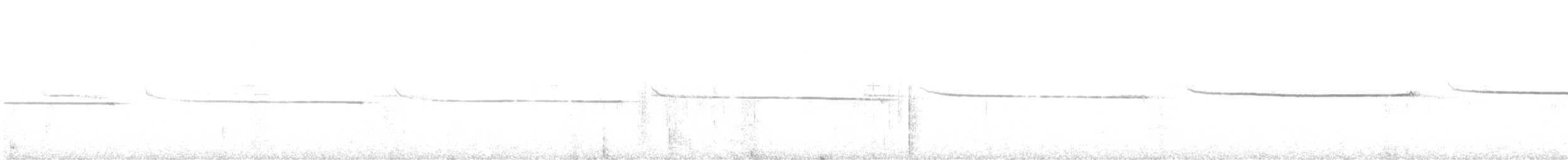 Желтоватая широкохвостка - ML592102921