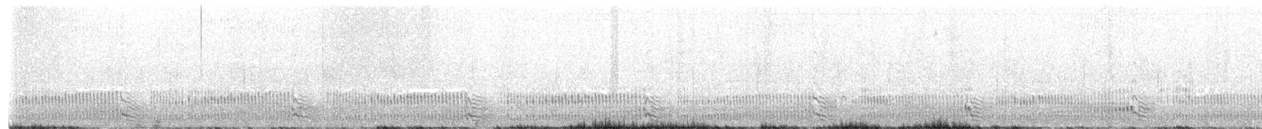 Océanite tempête - ML592136961