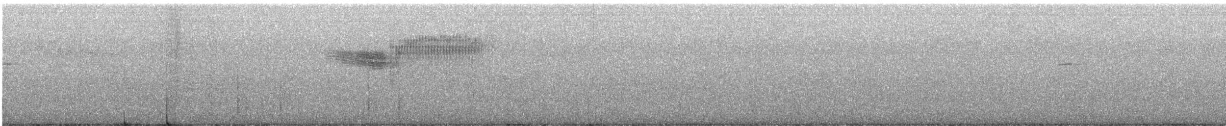 Голубокрылая червеедка - ML592153261