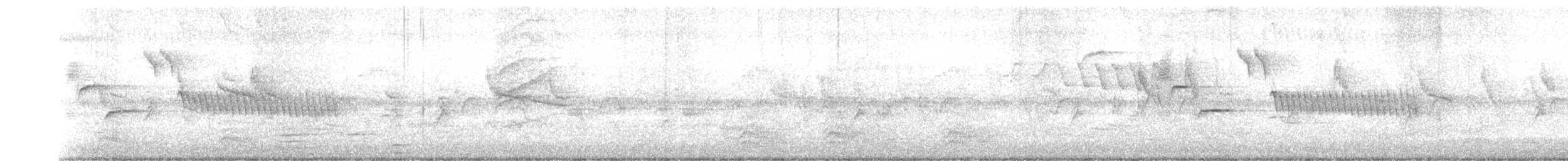 Bewick Çıtkuşu - ML592160301