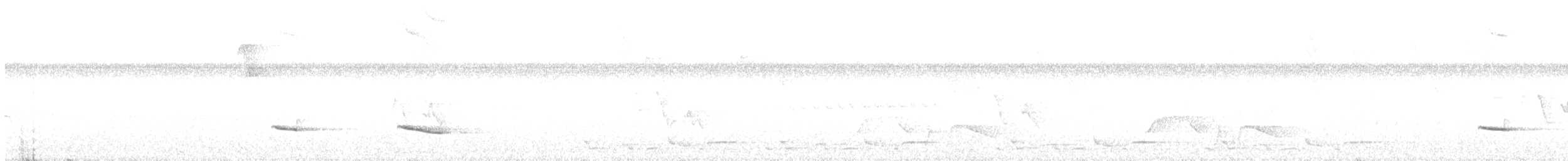 Alapi à dos roux - ML592187431