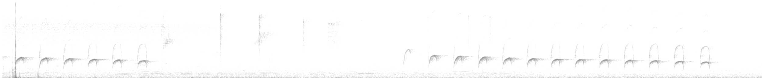 Myrmidon à flancs blancs - ML592191941