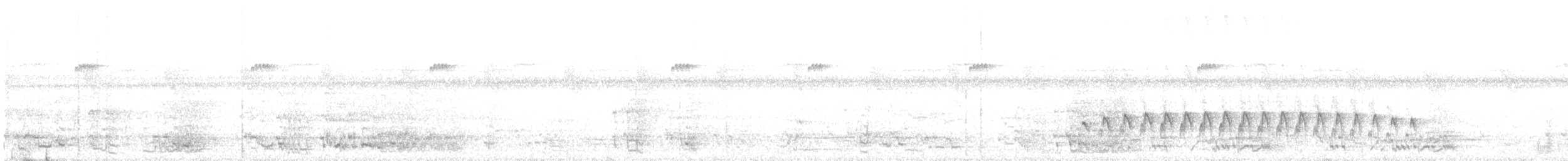 Grisin sombre - ML592192441