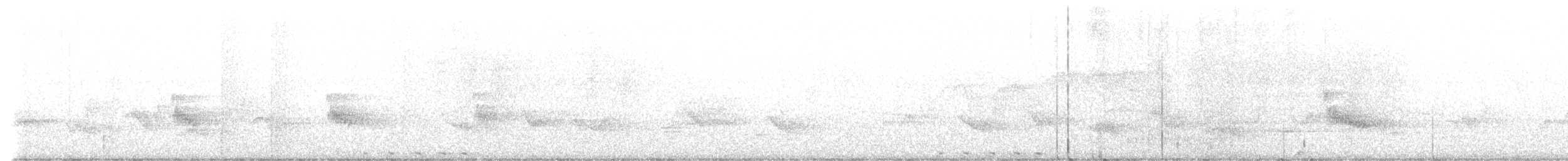 pygmérørdrum - ML592195301