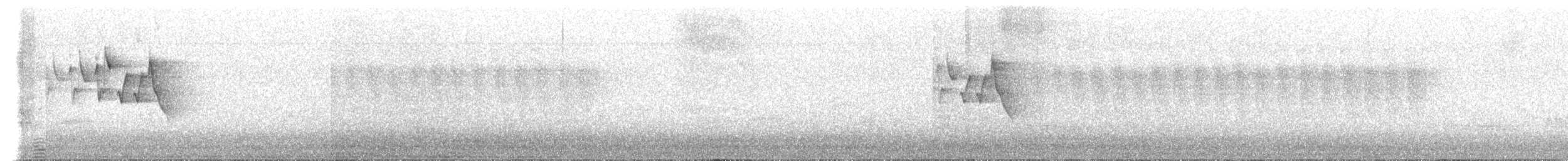 Chestnut-sided Warbler - ML592196951