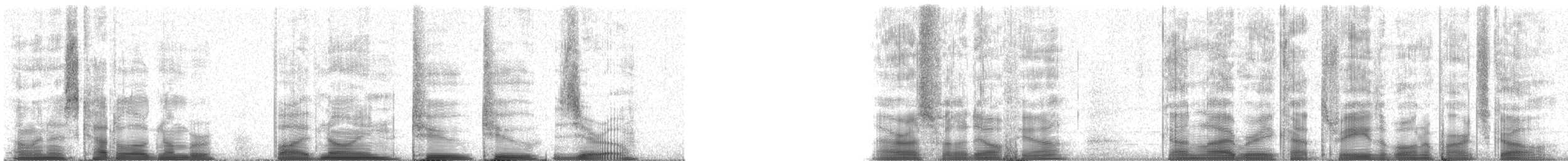 Gabbiano di Bonaparte - ML59220