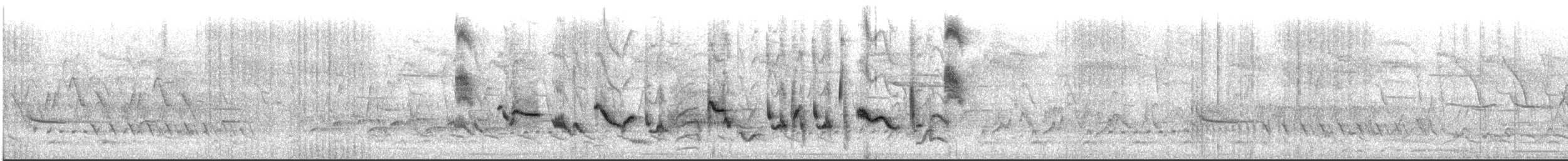 Orchard Oriole - ML592201171