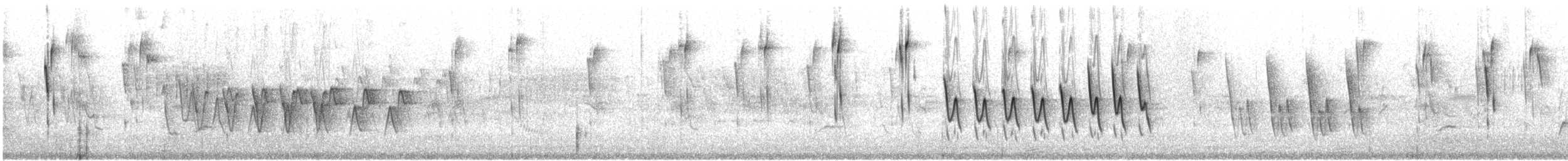 Dunkellaubsänger - ML592206501