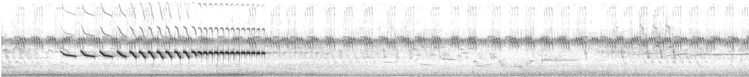 Field Sparrow - ML592228341