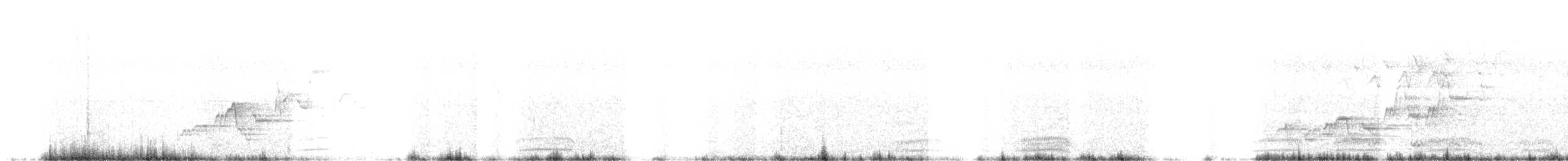 Дрізд-короткодзьоб Cвенсона - ML592233991