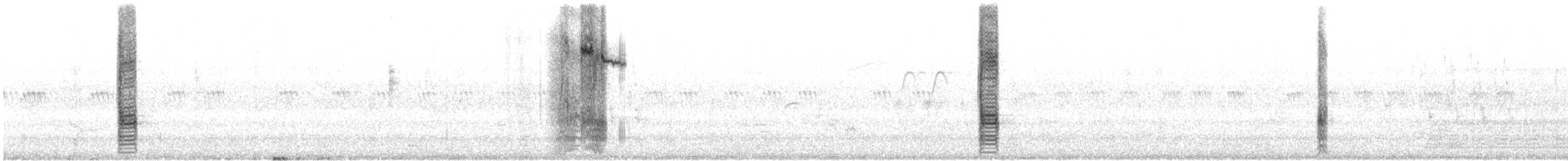 Common Grackle - ML592239231