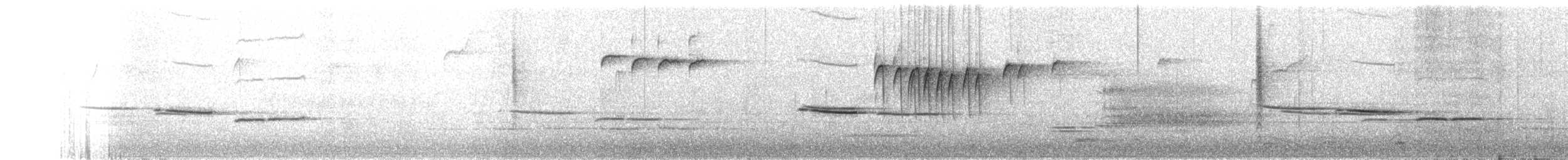 amerikameis - ML592245831