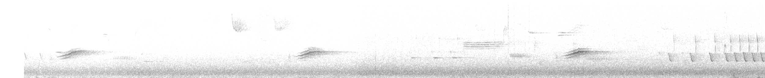 rødsidetovi - ML592246261