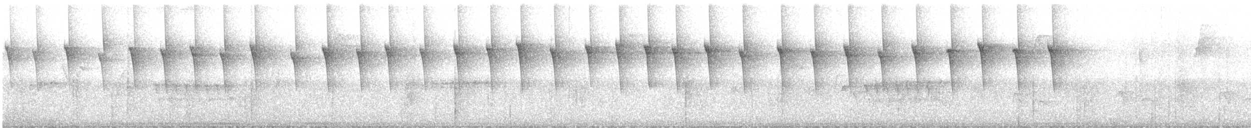 Солнечный колибри-отшельник - ML592248521