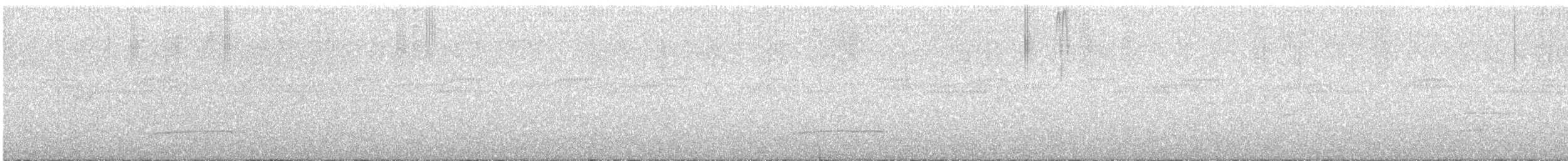 Тиран-крихітка світлогорлий - ML592250001
