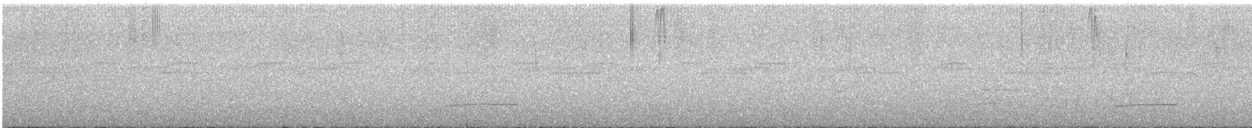 Тиран-крихітка світлогорлий - ML592250011