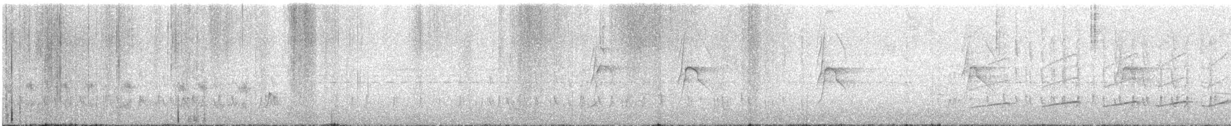 Тиран-крихітка світлогорлий - ML592250021