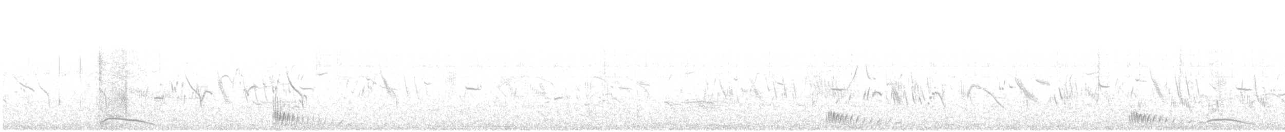 Чернобрюхий рябок - ML592281911