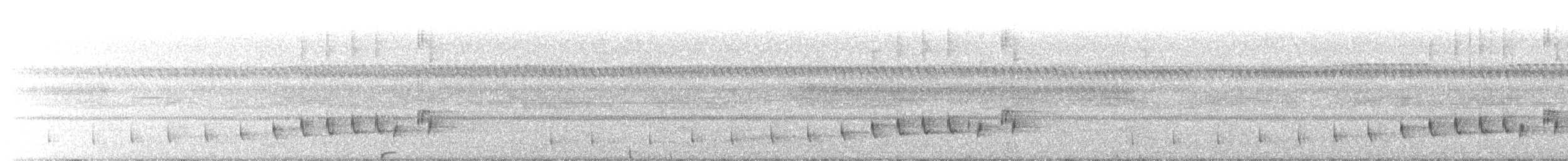 Краснолицая совка [группа guatemalae] - ML59229001