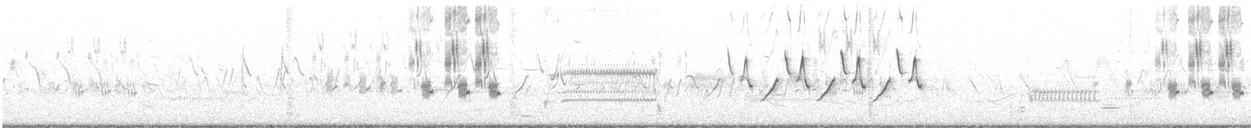 Common Yellowthroat - ML592335321