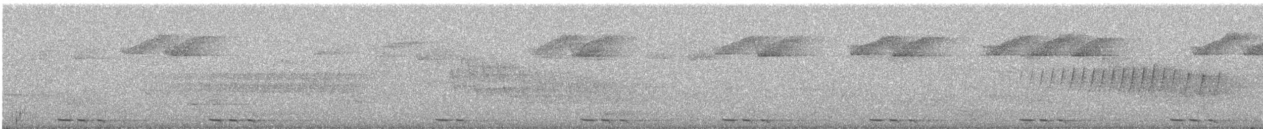 Schwarzschnabelkuckuck - ML592347891