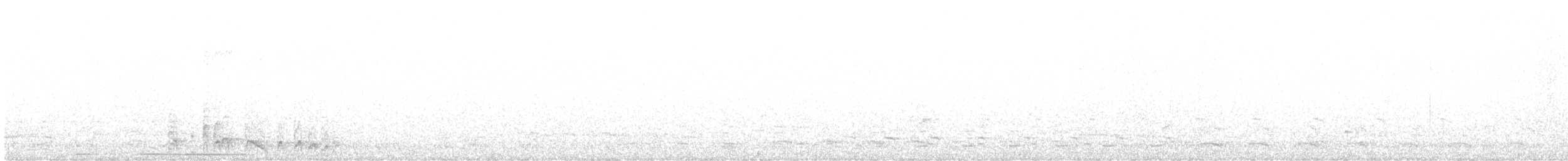 コシジロウミツバメ - ML592349461