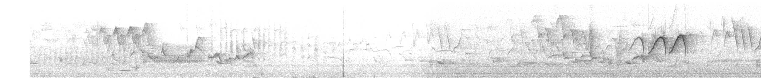 Warbling Vireo - ML592360581