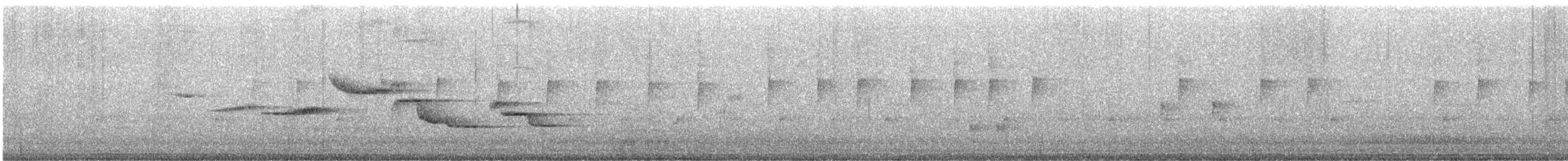 White-bellied Sholakili - ML592393931