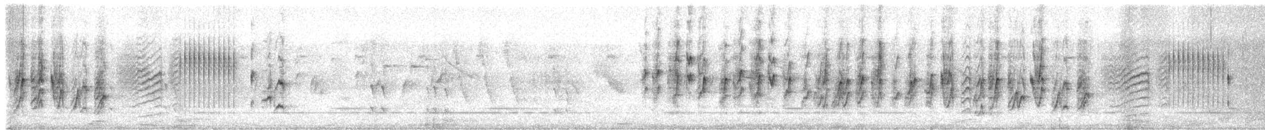 vlaštovka obecná (ssp. rustica) - ML592409431