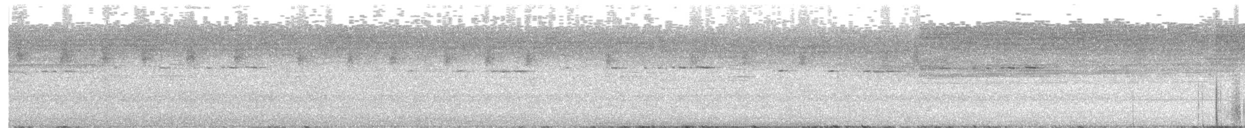 Рихтарик плямистий - ML592410151