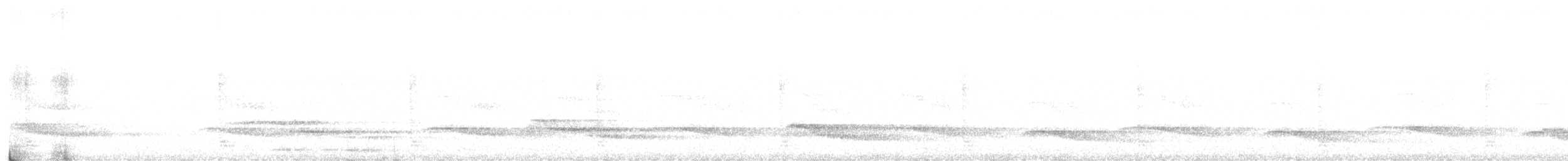 Kiwi de Okarito - ML592410381