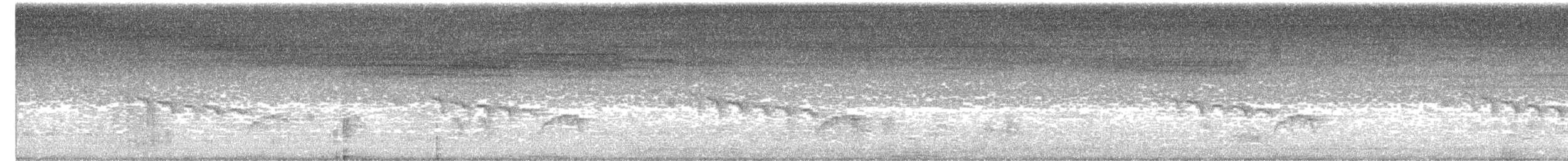 灰頭鷦鶯 - ML592425071