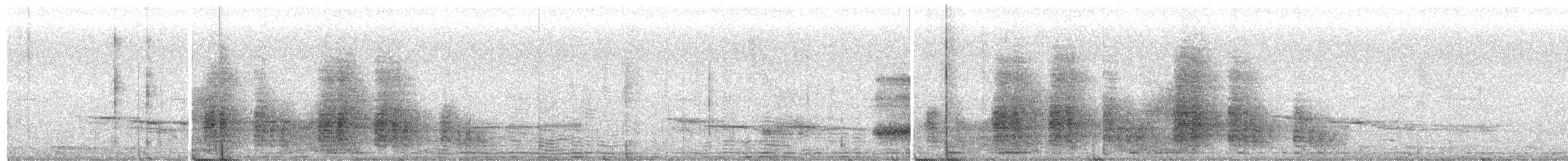 Gray-striped Spurfowl - ML592428601