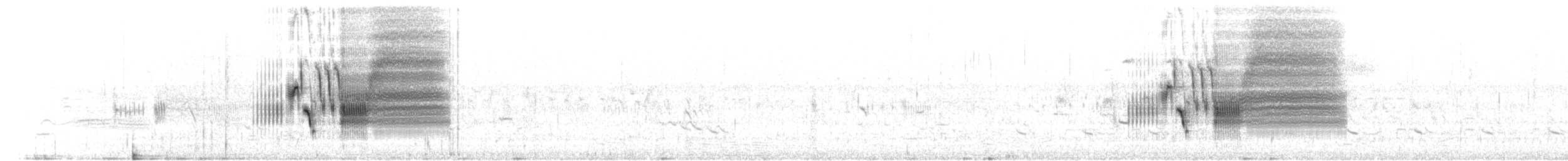 Приморская овсянка-барсучок (maritima/macgillivraii) - ML592435831
