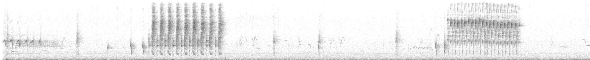 Troglodyte des marais - ML592442571