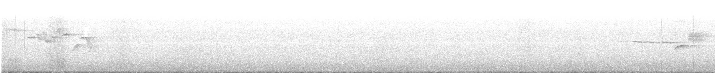 Paruline à gorge noire - ML592447741