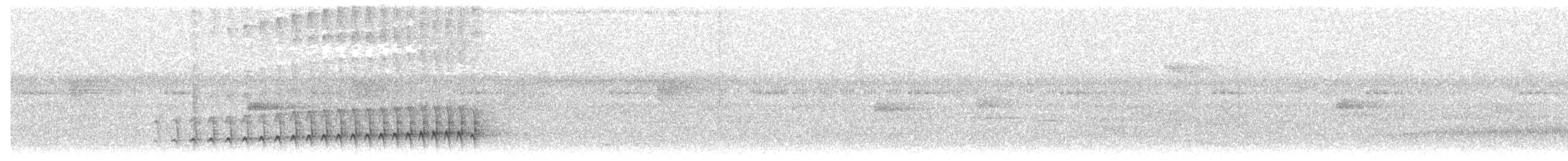 Bleigrau-Ameisenvogel - ML592463001