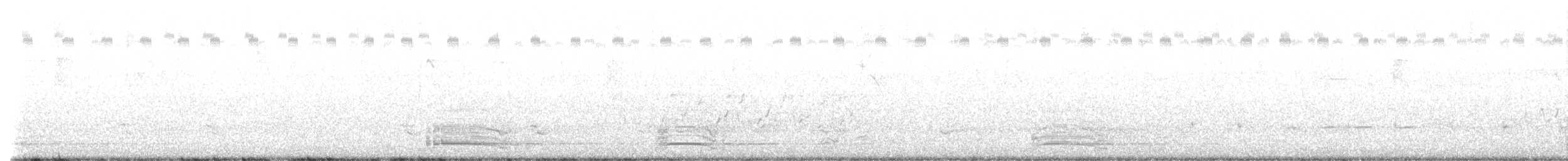 Limpkin - ML592466261