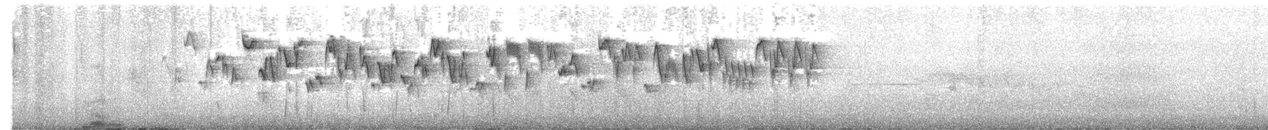Troglodyte de Baird (groupe pacificus) - ML592472481