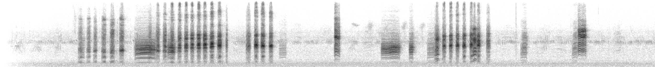 Woodchat Shrike - ML592483591