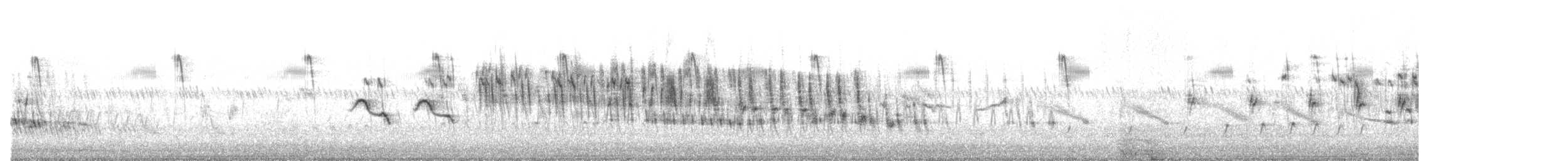 Turnix d'Andalousie - ML592498891