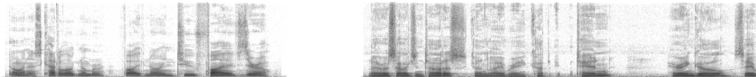 American Herring Gull - ML59250