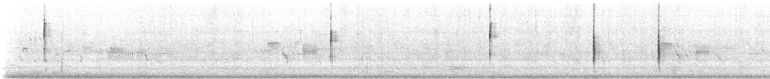 Приморская овсянка-барсучок (maritima/macgillivraii) - ML592502741