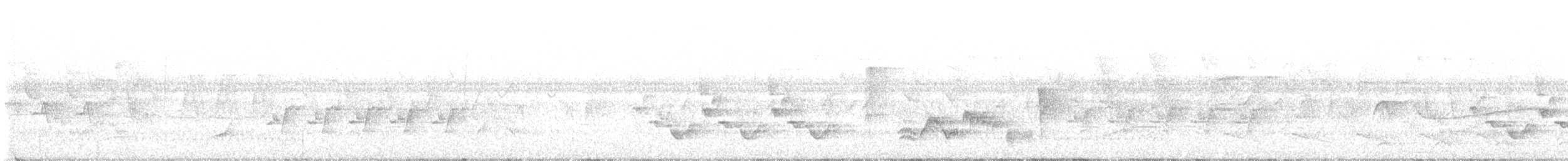 Northern Bobwhite - ML592513921